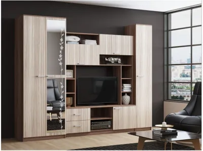 Гостиная Флора-4 ЛДСП (Ясень шимо темный / светлый)