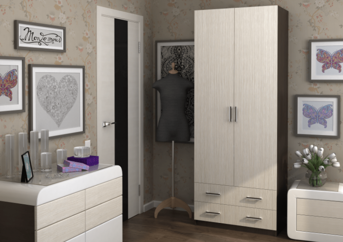 Шкаф Дуэт (Ясень шимо темный / светлый)