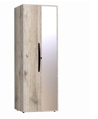 Шкаф для одежды с фасадами Стандарт+Зеркало Натуре 54 гаскон