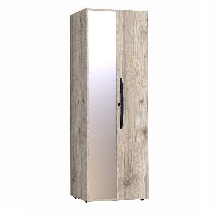 Шкаф для одежды с фасадами Стандарт+Зеркало Натуре 54 гаскон