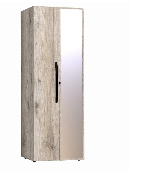 Шкаф для одежды с фасадами Стандарт+Зеркало Натуре 54 гаскон