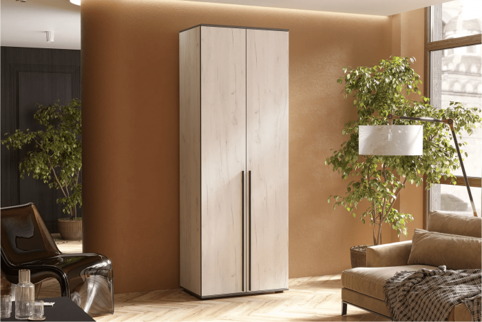 Норд Шкаф двухстворчатый 800 графит