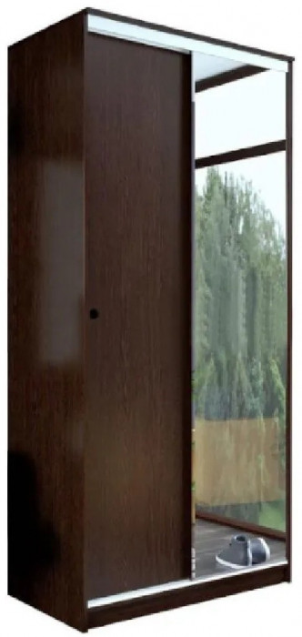 Шкаф-купе Альянс 1000 (Дуб крафт/ Графит)